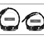 ساعت مچی عقربه‌ای کوارتز مردانه اسکمی مدل 2031-BLK-GD-2